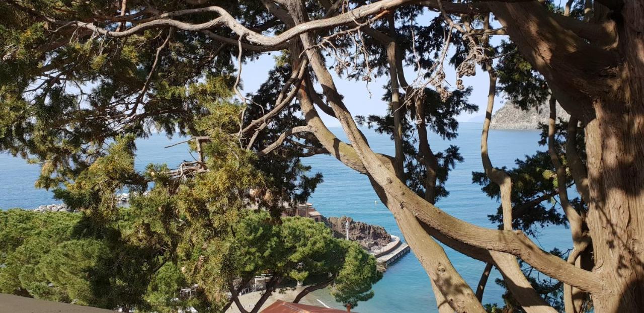 Villa Mare Blu Levanto Exterior photo
